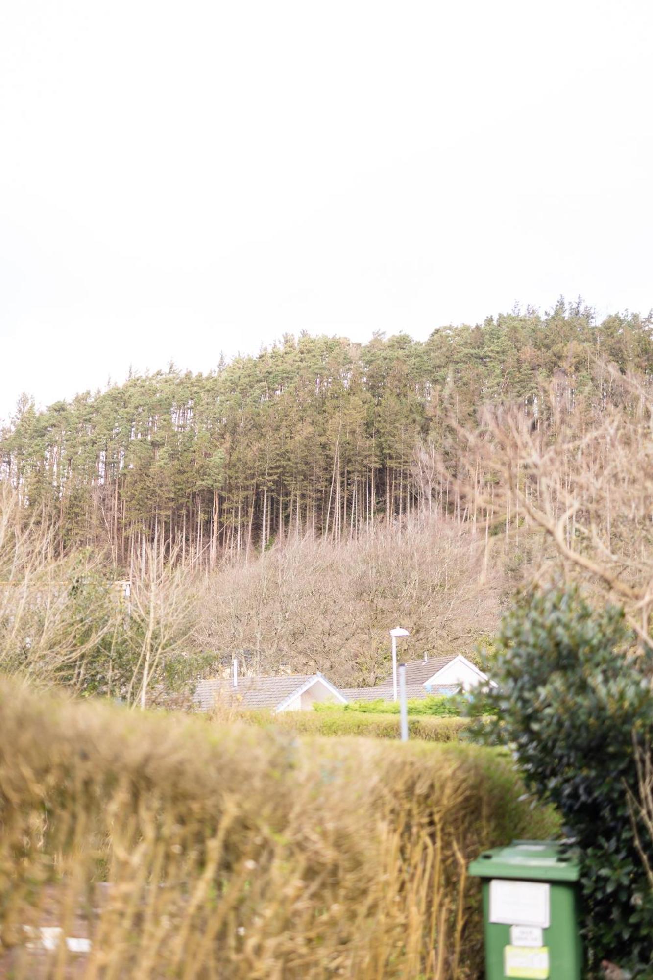 Oak House In Mid Wales With Log Burner By Seren Short Stays Макънтлет Екстериор снимка